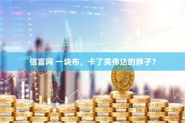 信富网 一块布，卡了英伟达的脖子？