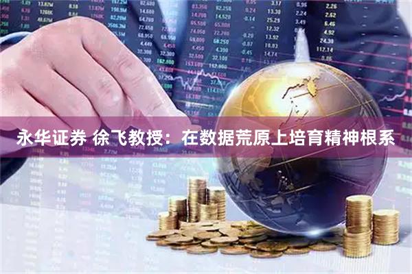 永华证券 徐飞教授：在数据荒原上培育精神根系
